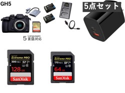 Panasonic LUMIX GH5 DC-GH5＋Sandisk【64/128GB】＋バッテリー充電器セット