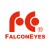 Falcon Eyes（ファルコンアイズ）