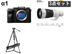 SONY α1 ILCE-1（ボディーのみ) / SONY FE 600mm F6.3 GM OSS SEL600F63GM Eマウント/ Sachtler Ace M GS 三脚 セット_image