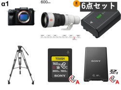 SONY α1 ILCE-1（ボディーのみ) / SONY FE 600mm F6.3 GM OSS Eマウント/ ビデオカメラ三脚 ミドルスプレッダー(163cm) 耐荷重8Kg /  NP-FZ100 純正バッテリー / Type Aメモリーカード160GB / Type A SDメモリーカード対応 カードリーダー  セット_image