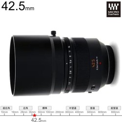 Panasonic LUMIX G 42.5mm F1.2 ASPH. / POWER O.I.S. マイクロフォーサーズ  (H-NS043)