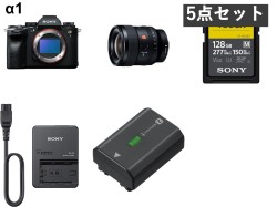 SONY α1 ILCE-1 / FE 24mm F1.4 GM / 128GB SDXC カード / NP-FZ100バッテリーとチャージャーセット