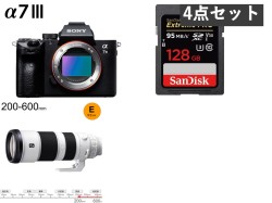 SONY α7 III ILCE-7M3 / FE 200-600mm F5.6-6.3 G OSS / 2枚128GB SDXC カードセット