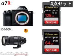 SONY α7R ILCE-7R / SIGMA 150-600mm F5-6.3 DG DN OS / 2枚SDXC カードセット