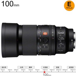 SONY FE 100mm F2.8 Macro GM OSS SEL100M28GM  Eマウント