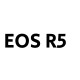 EOS R5の画像