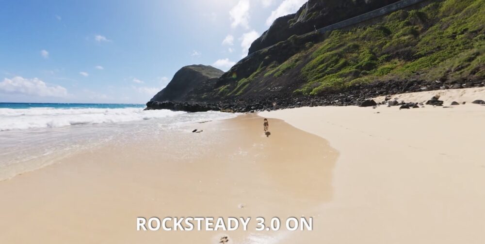 砂浜を駆ける犬を追い撮りしても揺れが抑えられている、RockSteady 3.0による安定した映像